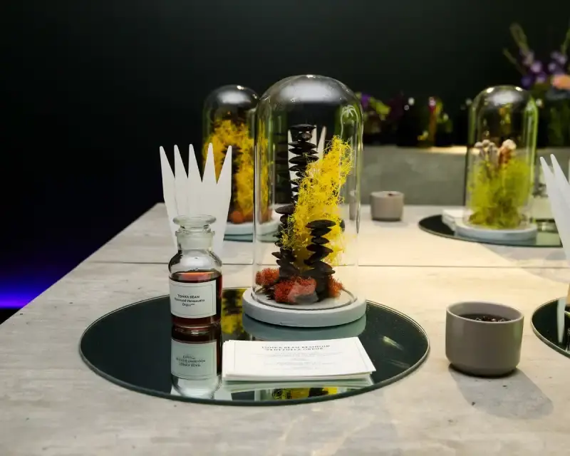 Decorative preview image of Global Press and KOLs Launch