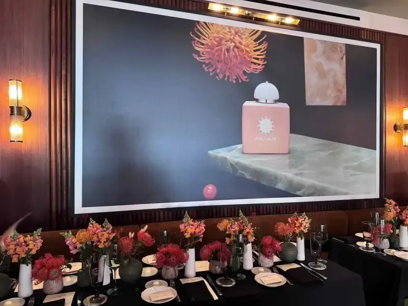 Decorative preview image of Global Press and KOLs Launch